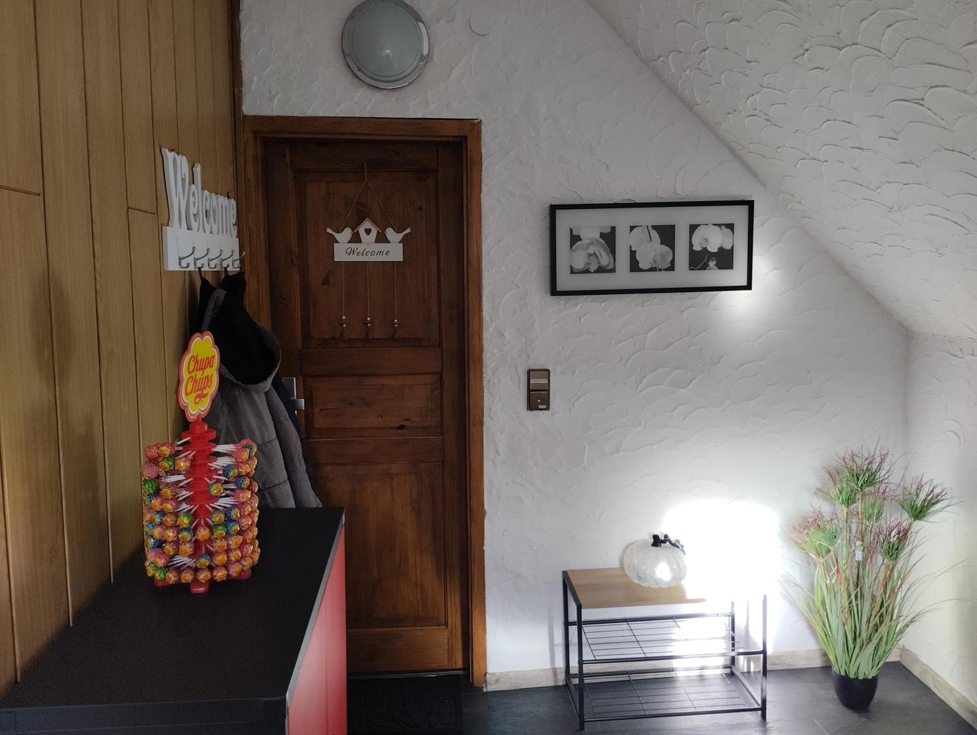 Ferienwohnung Am Vulkanpfad Ettringen (Rhineland-Palatinate) Exterior foto